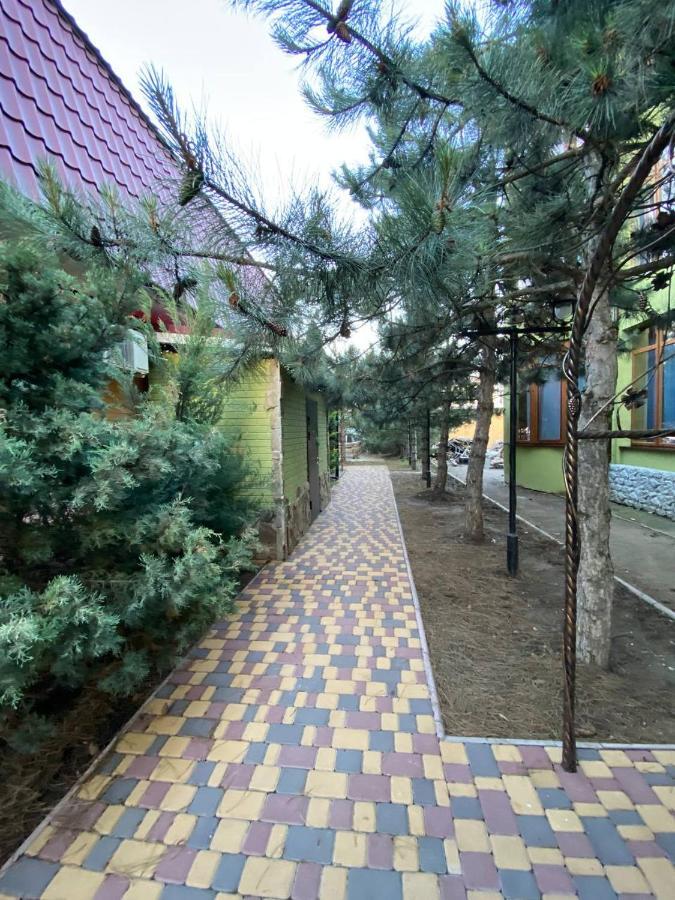 Villa Sosnovy Bor Zatoka Εξωτερικό φωτογραφία