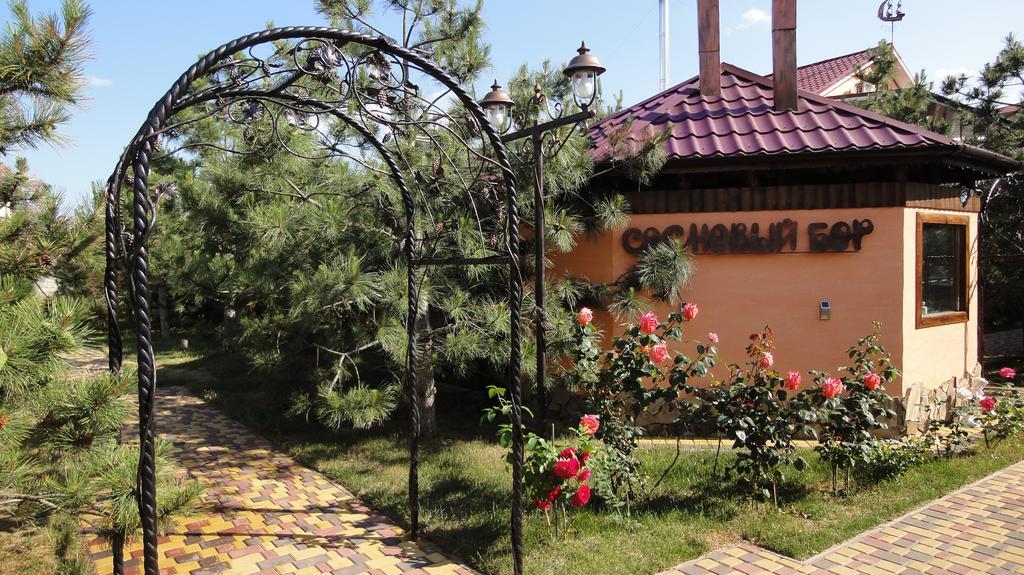 Villa Sosnovy Bor Zatoka Εξωτερικό φωτογραφία