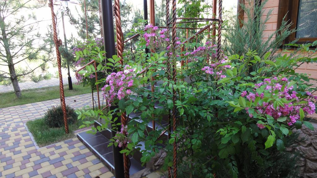 Villa Sosnovy Bor Zatoka Εξωτερικό φωτογραφία