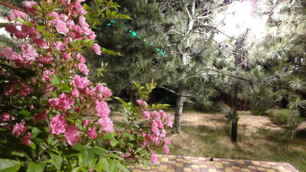 Villa Sosnovy Bor Zatoka Εξωτερικό φωτογραφία