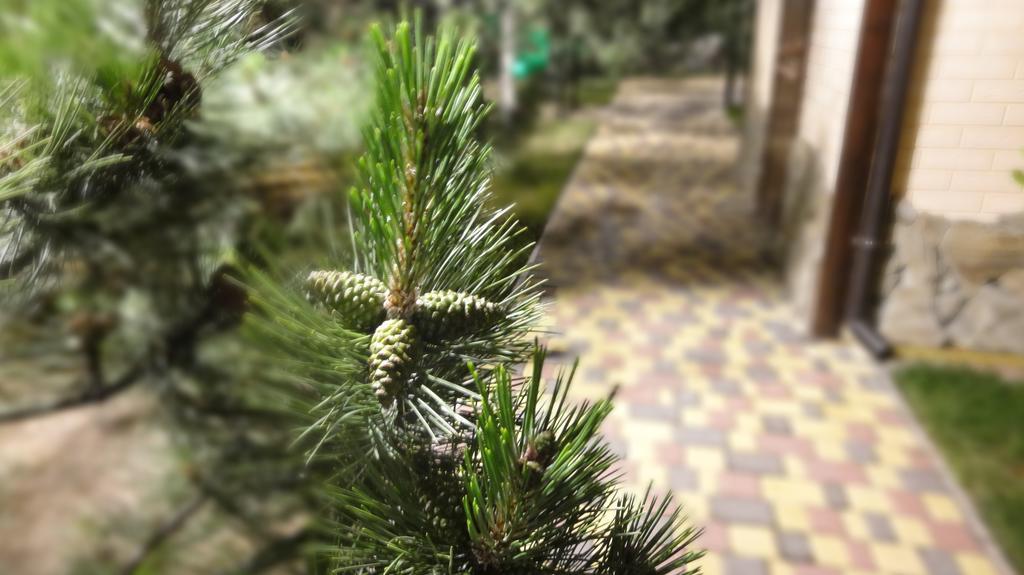 Villa Sosnovy Bor Zatoka Εξωτερικό φωτογραφία