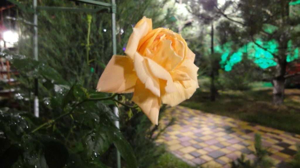 Villa Sosnovy Bor Zatoka Εξωτερικό φωτογραφία