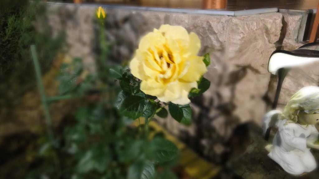 Villa Sosnovy Bor Zatoka Εξωτερικό φωτογραφία
